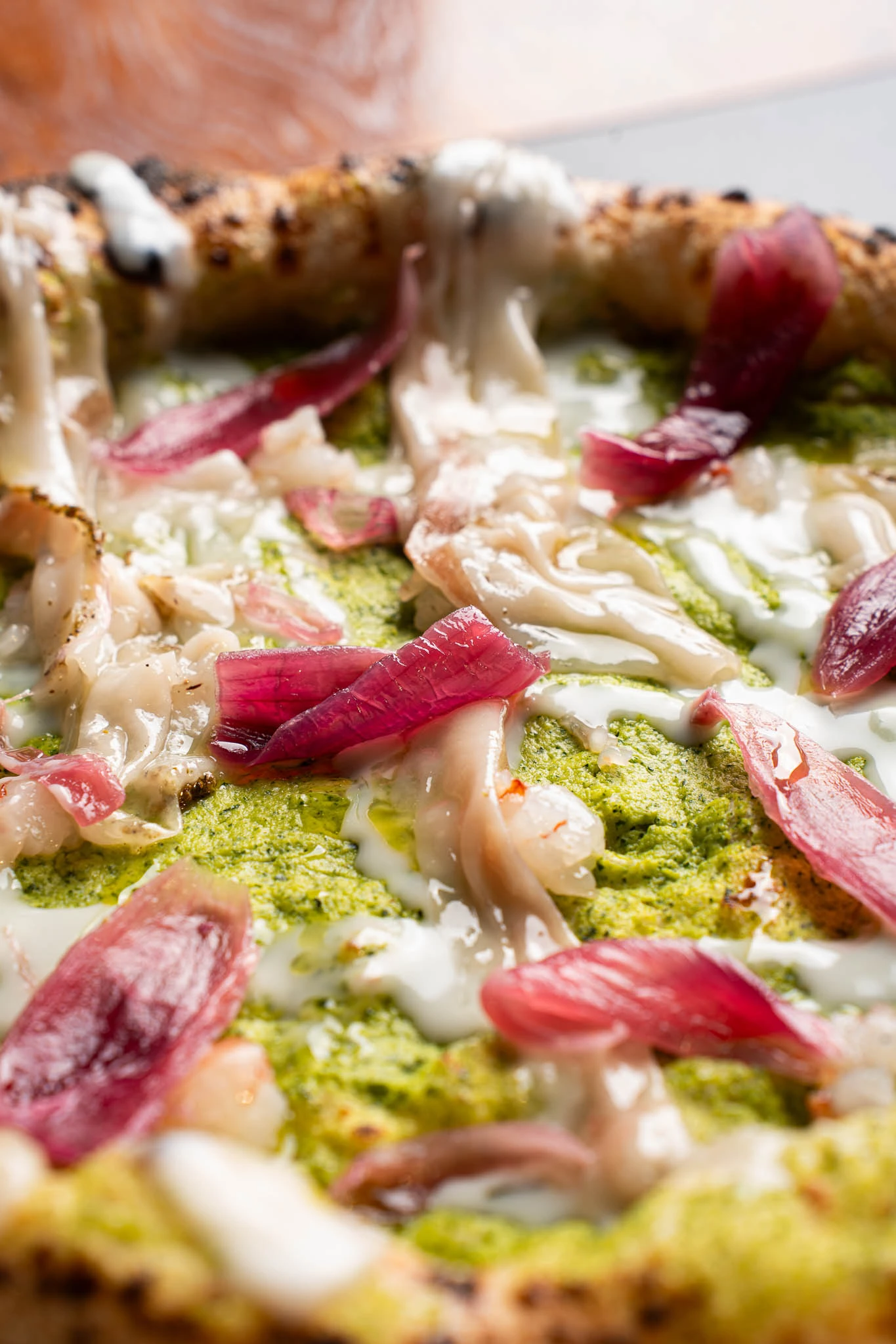 Pizza Verace Style con crema di zucchine, cipolla rossa caramellata, stracciatella e lardo artigianale – La Capannina Pistoia